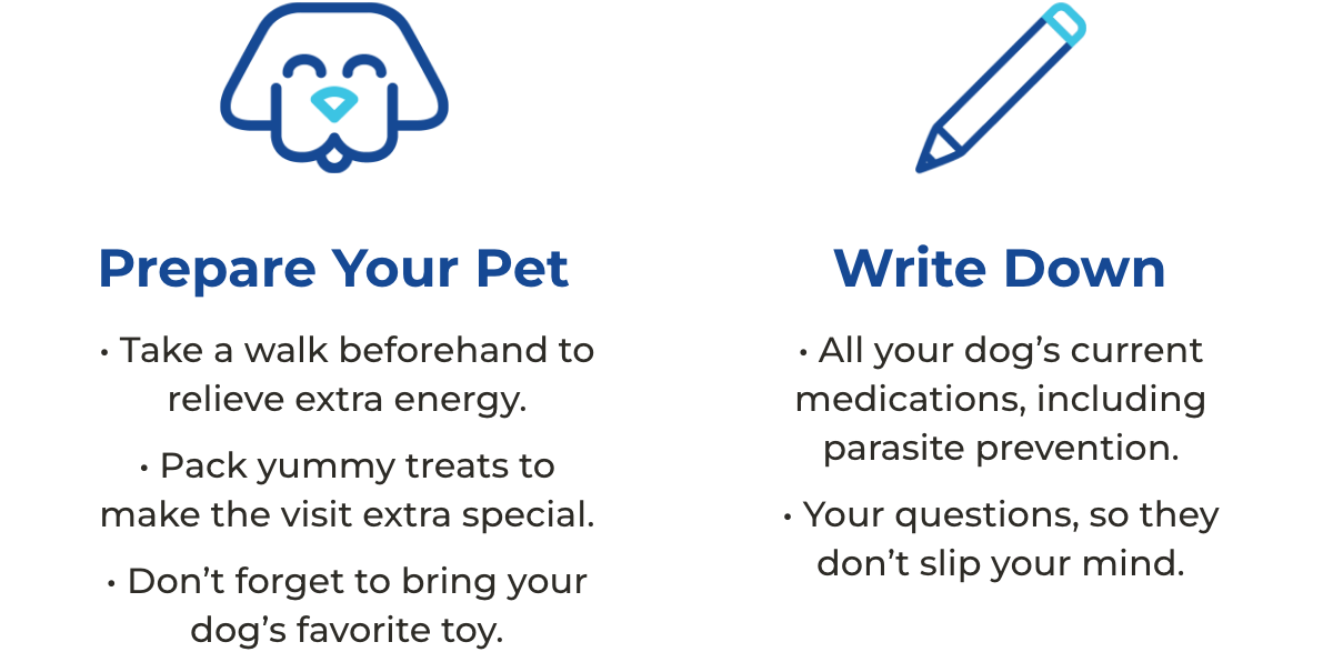 Prepare your pet: Take a walk beforehand to relieve extra energy, pack yummy treats to make the visit extra special, and don’t forget to bring your dog’s favorite toy. Write down all your dog’s current medications, including parasite prevention, and your questions, so they don’t slip your mind.