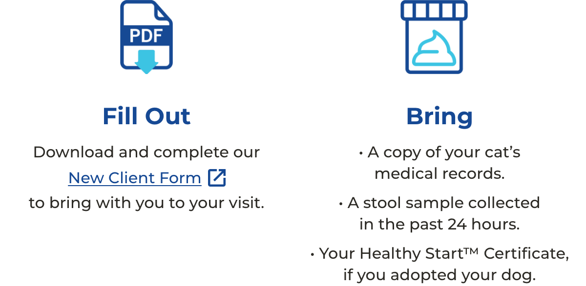 Download and complete our New Client Form to bring with you to your visit. Bring a copy of your cat’s medical records and a stool sample collected in the past 24 hours.