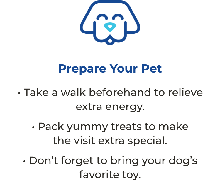 Prepare your pet: Take a walk beforehand to relieve extra energy, pack yummy treats to make the visit extra special, and don’t forget to bring your dog’s favorite toy.