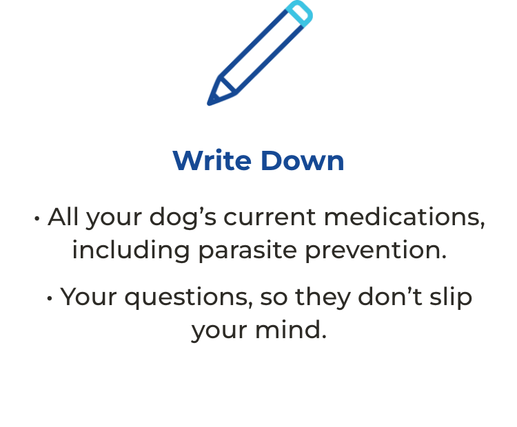 Write down all your dog’s current medications, including parasite prevention, and your questions, so they don’t slip your mind.