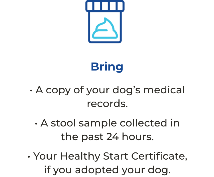 Bring a copy of your cat’s medical records, a stool sample collected in the past 24 hours, and your Healthy Start™ Certificate, if you adopted your dog.